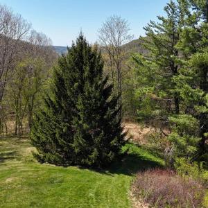 Photo #3 of tbd KLONDIKE RD, WARM SPRINGS, VA 0.6 acres