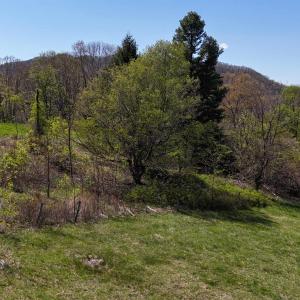 Photo #1 of tbd KLONDIKE RD, WARM SPRINGS, VA 0.6 acres
