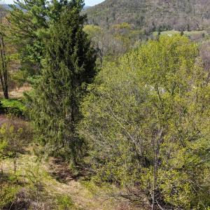 Photo #2 of tbd KLONDIKE RD, WARM SPRINGS, VA 0.6 acres