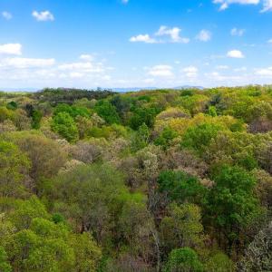Photo #22 of TBD HESSIAN LN, STAUNTON, VA 4.9 acres