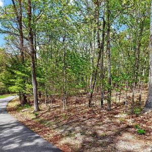 Photo #6 of TBD HESSIAN LN, STAUNTON, VA 4.9 acres