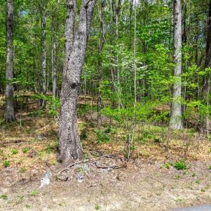 Photo #10 of TBD HESSIAN LN, STAUNTON, VA 4.9 acres
