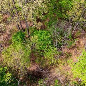 Photo #25 of TBD HESSIAN LN, STAUNTON, VA 4.9 acres