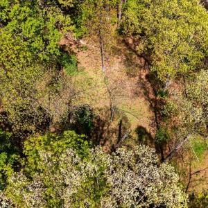 Photo #26 of TBD HESSIAN LN, STAUNTON, VA 4.9 acres