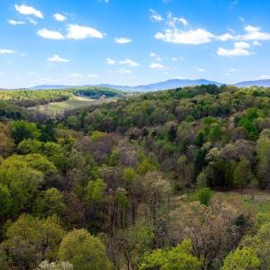 Photo #24 of TBD HESSIAN LN, STAUNTON, VA 4.9 acres