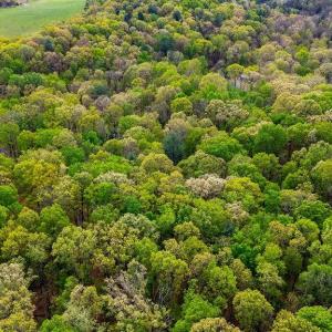 Photo #16 of TBD HESSIAN LN, STAUNTON, VA 4.9 acres