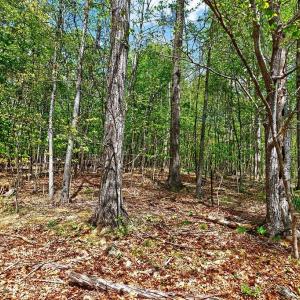 Photo #5 of TBD HESSIAN LN, STAUNTON, VA 4.9 acres