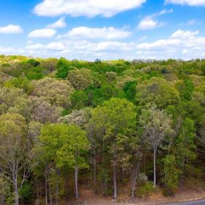 Photo #21 of TBD HESSIAN LN, STAUNTON, VA 4.9 acres