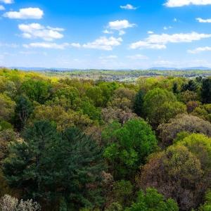 Photo #23 of TBD HESSIAN LN, STAUNTON, VA 4.9 acres