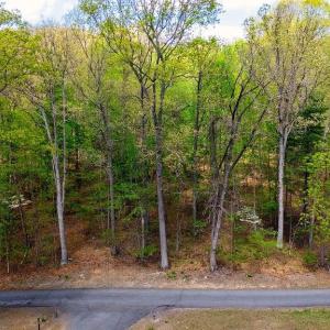 Photo #3 of TBD HESSIAN LN, STAUNTON, VA 4.9 acres