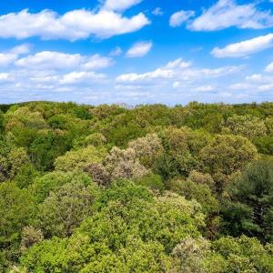 Photo #20 of TBD HESSIAN LN, STAUNTON, VA 4.9 acres