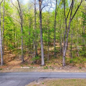 Photo #11 of TBD HESSIAN LN, STAUNTON, VA 4.9 acres