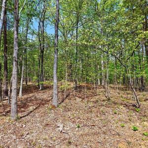 Photo #7 of TBD HESSIAN LN, STAUNTON, VA 4.9 acres