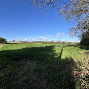 Photo #2 of TBD MORTON RD, CRIMORA, VA 5.0 acres