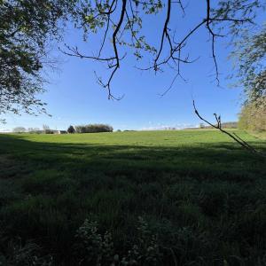 Photo #4 of TBD MORTON RD, CRIMORA, VA 5.0 acres