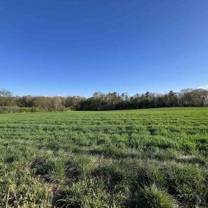 Photo #5 of TBD MORTON RD, CRIMORA, VA 5.0 acres
