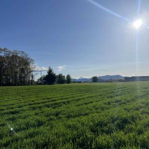 Photo #6 of TBD MORTON RD, CRIMORA, VA 5.0 acres