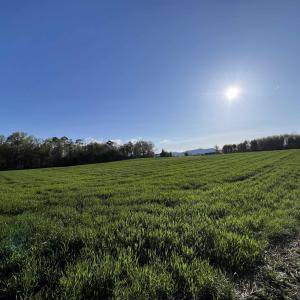Photo #3 of TBD MORTON RD, CRIMORA, VA 5.0 acres