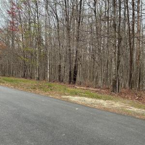 Photo #2 of ANDERGAR LN, KENTS STORE, VA 13.6 acres