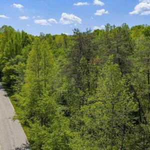 Photo #2 of 3850 COUNTY LINE RD, KENTS STORE, VA 11.4 acres