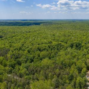 Photo #8 of 3850 COUNTY LINE RD, KENTS STORE, VA 11.4 acres