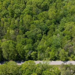 Photo #16 of 3850 COUNTY LINE RD, KENTS STORE, VA 11.4 acres