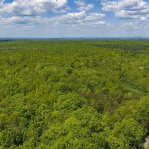 Photo #15 of 3850 COUNTY LINE RD, KENTS STORE, VA 11.4 acres