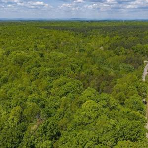 Photo #14 of 3850 COUNTY LINE RD, KENTS STORE, VA 11.4 acres