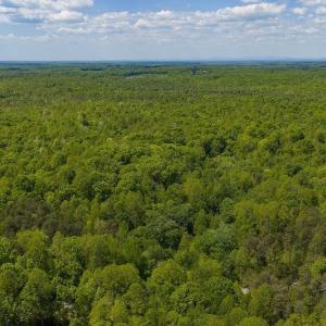 Photo #7 of 3850 COUNTY LINE RD, KENTS STORE, VA 11.4 acres