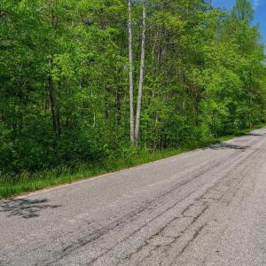 Photo #19 of 3850 COUNTY LINE RD, KENTS STORE, VA 11.4 acres