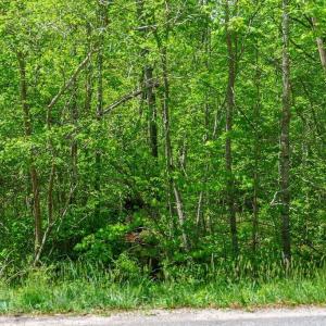 Photo #18 of 3850 COUNTY LINE RD, KENTS STORE, VA 11.4 acres