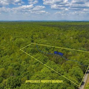 Photo #1 of 3850 COUNTY LINE RD, KENTS STORE, VA 11.4 acres