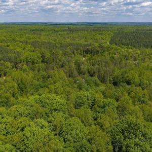 Photo #13 of 3850 COUNTY LINE RD, KENTS STORE, VA 11.4 acres