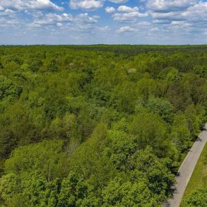 Photo #4 of 3850 COUNTY LINE RD, KENTS STORE, VA 11.4 acres