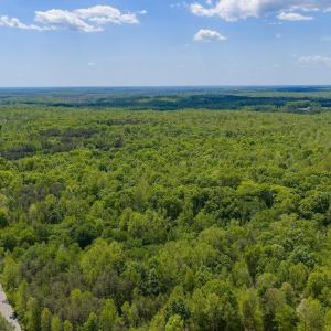 Photo #10 of 3850 COUNTY LINE RD, KENTS STORE, VA 11.4 acres