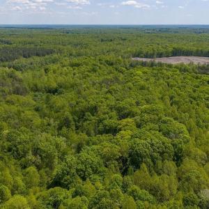 Photo #11 of 3850 COUNTY LINE RD, KENTS STORE, VA 11.4 acres