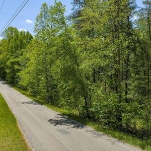 Photo #6 of 3850 COUNTY LINE RD, KENTS STORE, VA 11.4 acres