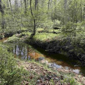 Photo #1 of PADDOCK WOOD RD, ZION CROSSROADS, VA 314.5 acres