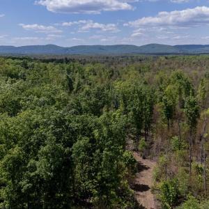 Photo #4 of PADDOCK WOOD RD, ZION CROSSROADS, VA 314.5 acres