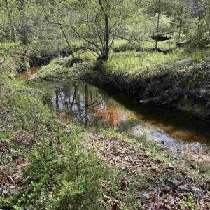Photo #2 of PADDOCK WOOD RD, ZION CROSSROADS, VA 314.5 acres