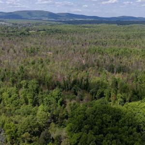 Photo #1 of PADDOCK WOOD RD, ZION CROSSROADS, VA 314.5 acres