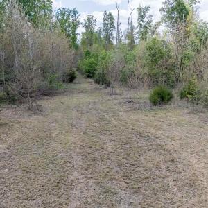 Photo #5 of PADDOCK WOOD RD, ZION CROSSROADS, VA 314.5 acres