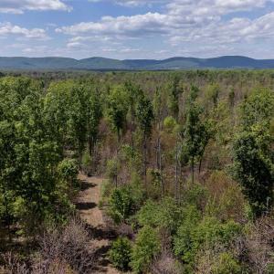Photo #3 of PADDOCK WOOD RD, ZION CROSSROADS, VA 314.5 acres
