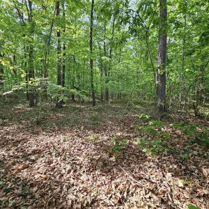 Photo #3 of 6.939 AXTELL RD, HOWARDSVILLE, VA 6.9 acres