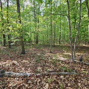 Photo #4 of 6.939 AXTELL RD, HOWARDSVILLE, VA 6.9 acres