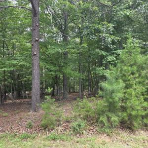 Photo #2 of 85 LAGUNA RD, PALMYRA, VA 0.5 acres