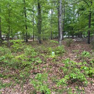 Photo #8 of 4 EAST POINT RD, PALMYRA, VA 0.4 acres