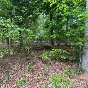 Photo #11 of 4 EAST POINT RD, PALMYRA, VA 0.4 acres