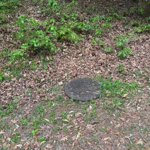 Photo #7 of 4 EAST POINT RD, PALMYRA, VA 0.4 acres