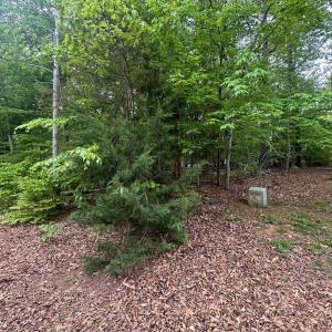 Photo #9 of 4 EAST POINT RD, PALMYRA, VA 0.4 acres